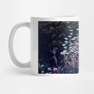 King's Park Flowers 3 Mug